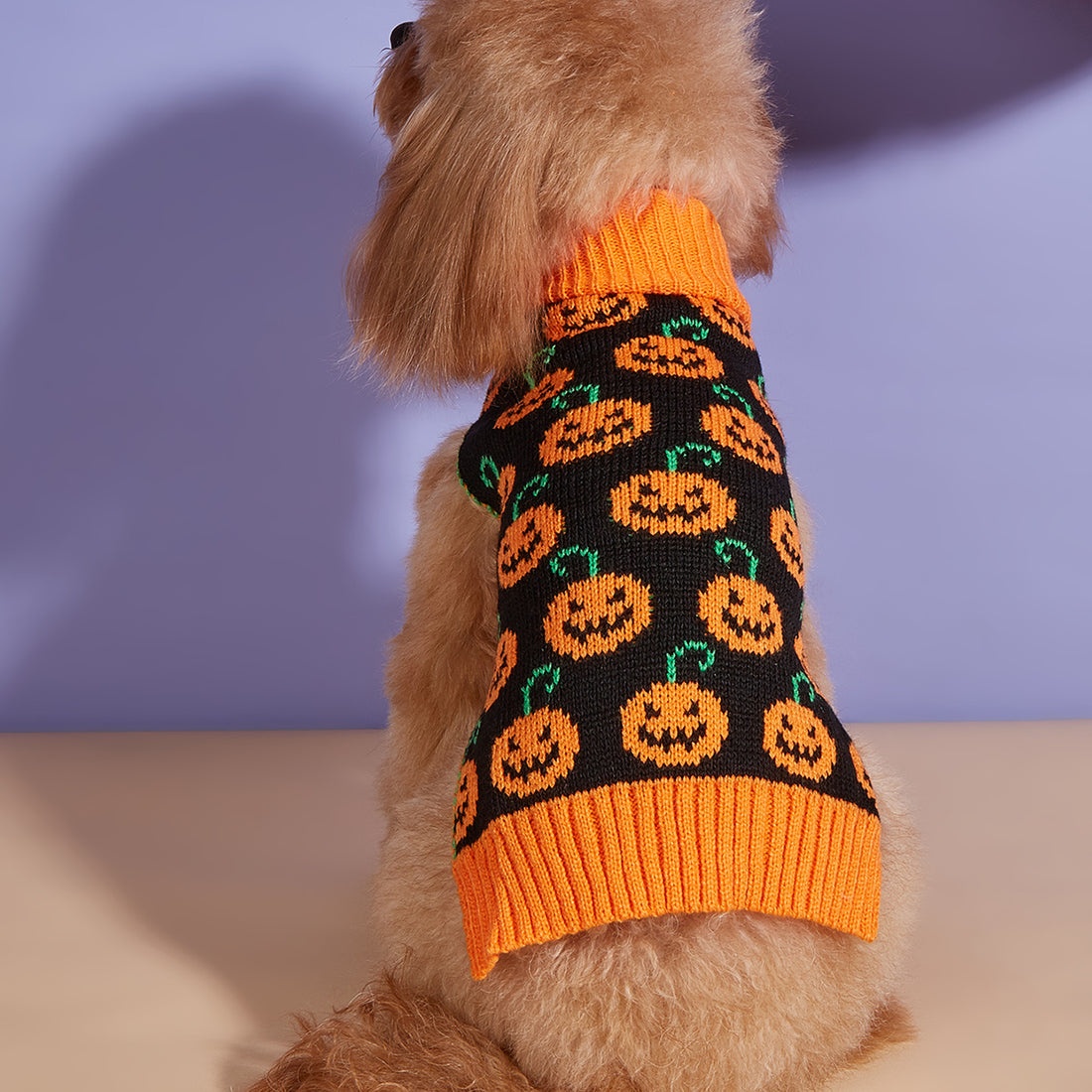 Cane Arancione Caldo Maglione Zucca - Costume Halloween per Cani