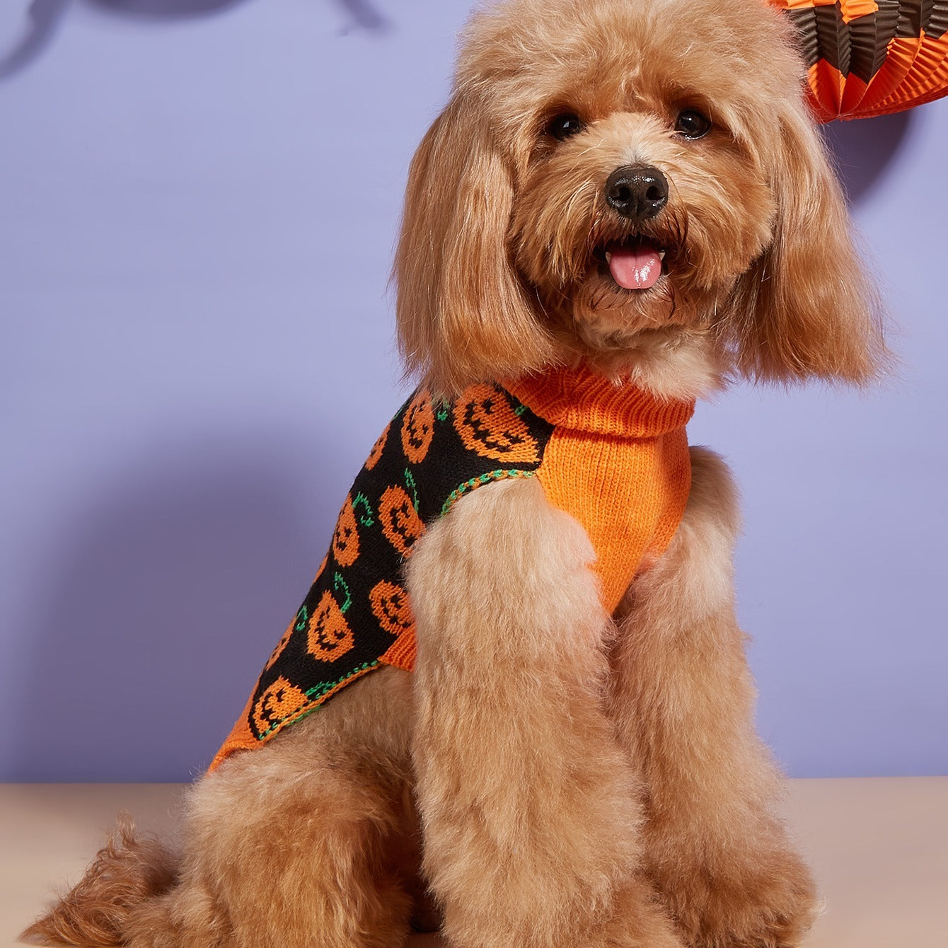 Cane Arancione Caldo Maglione Zucca - Costume Halloween per Cani